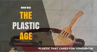 Unveiling the Plastic Age: A Timeline of Synthetic Revolution