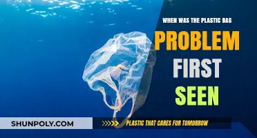 The Plastic Bag Problem: Tracing Its Origins and Early Concerns
