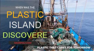The Discovery of the Plastic Island: A Timeline