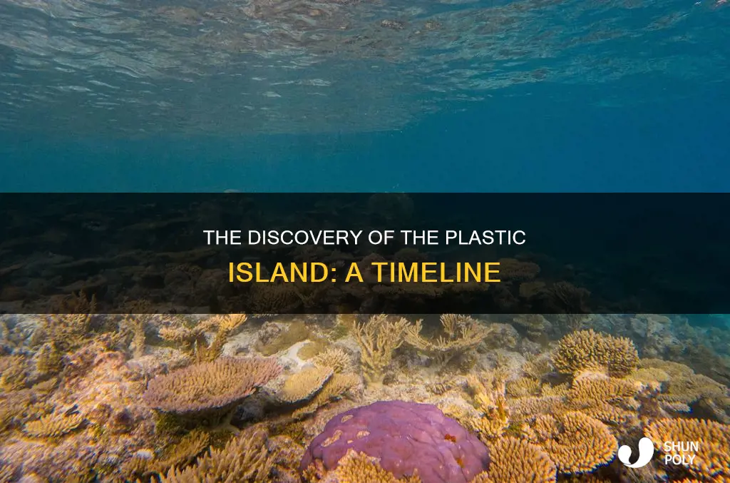 when was the plastic island discovered