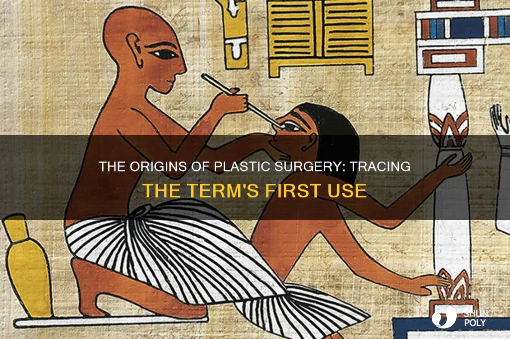 when was the term plastic surgery first used