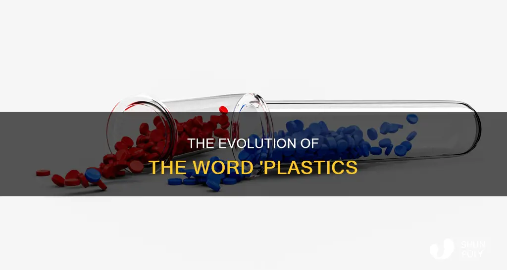 when was the word plastics invented
