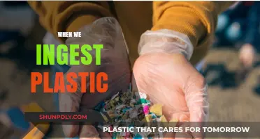 The Unseen Consequences: How Plastic Affects Us Internally