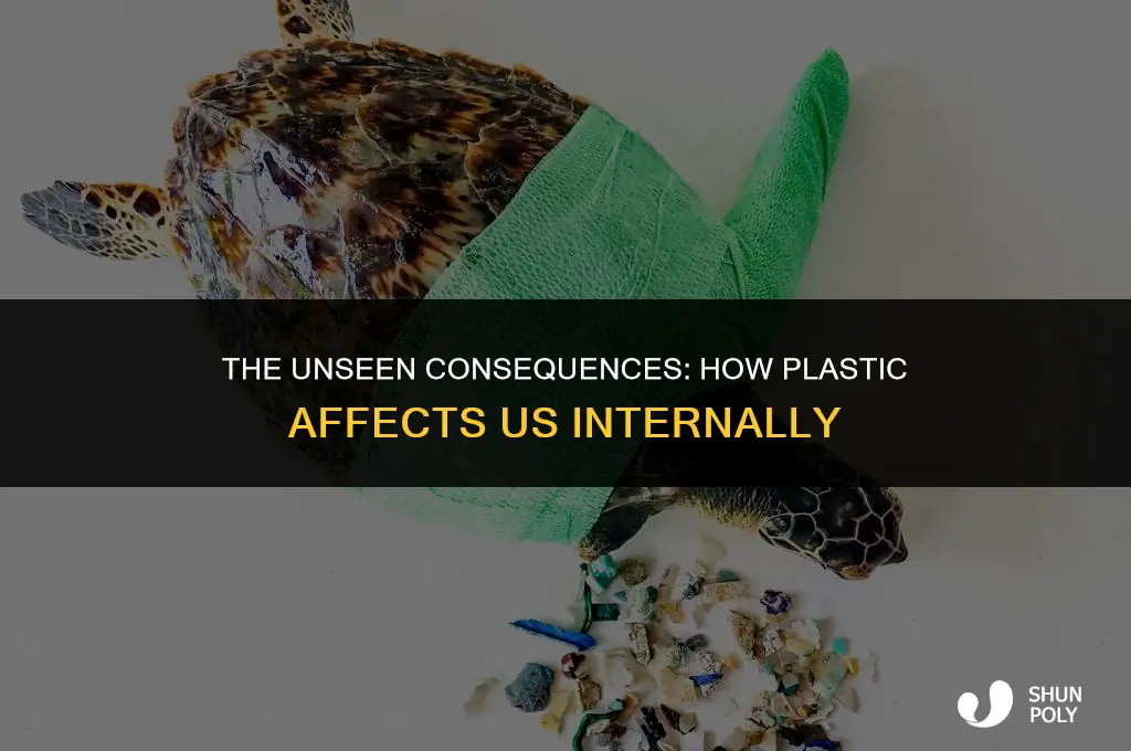when we ingest plastic