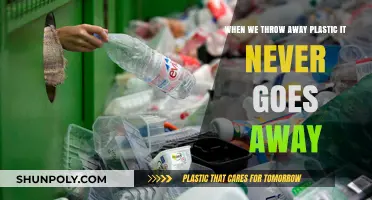 The Persistent Problem: Plastic Waste's Eternal Impact