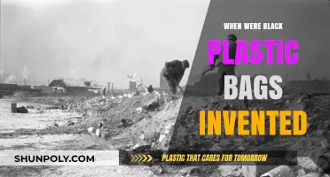 The Surprising History of Black Plastic Bags: Origins and Evolution