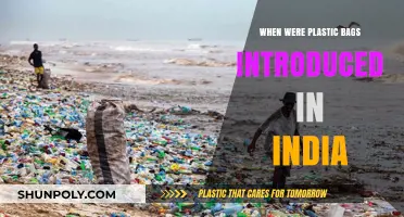 The Evolution of Plastic Bags in India: A Historical Overview