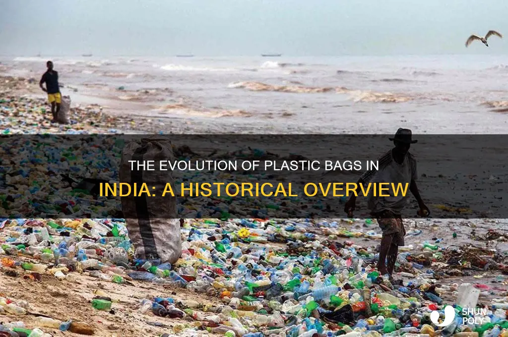 when were plastic bags introduced in india