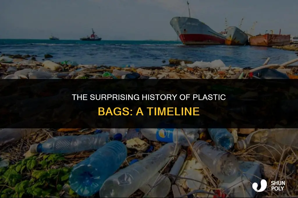 when were plastic bgs invented