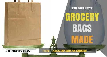 The Surprising History of Plastic Grocery Bags: When Were They Made?