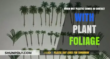 Exploring the Effects of Wet Plastic on Plant Foliage: A Comprehensive Guide
