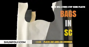 When Will SC Actors Ditch Plastic Bags for Good?