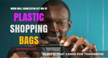Charleston's Plastic Bag Ban: When Will It Finally Happen?