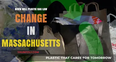 Massachusetts Plastic Bag Ban Update: What Changes Are Coming?