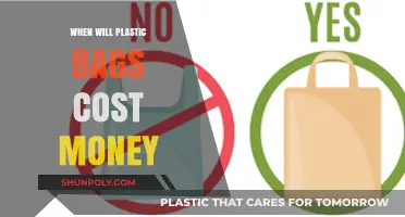 When Will Plastic Bags Cost Money? Upcoming Changes Explained