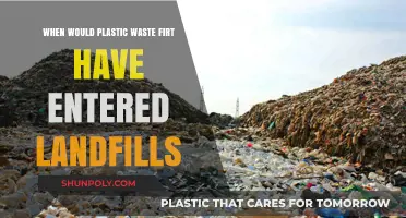 Tracing the Origins: When Did Plastic Waste Begin Polluting Our Landfills?