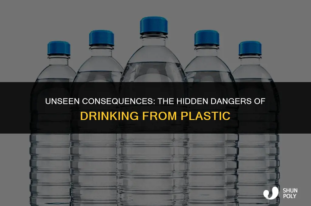 when you drink from plastic do you drink plastic