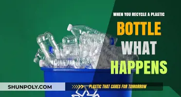 Recycling Plastic Bottles: Unveiling the Journey from Bin to New Life
