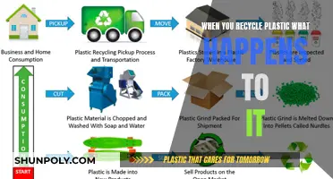 The Journey of Recycled Plastic: Where Does It Go?