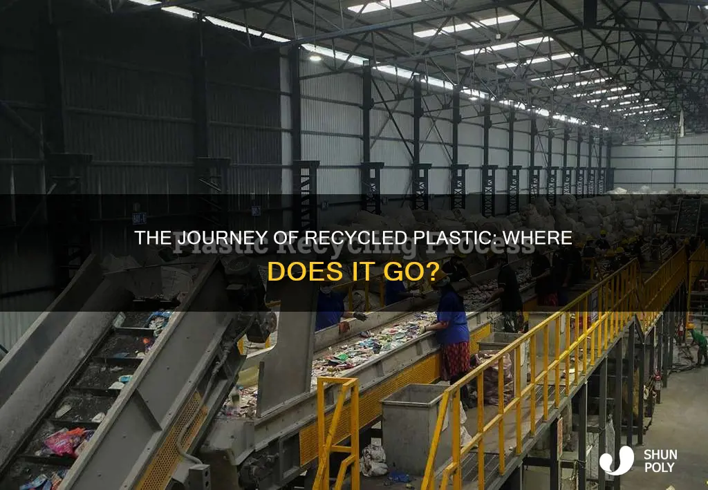 when you recycle plastic what happens to it