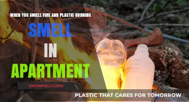 Decoding Dangerous Scents: Fire and Plastic Burning Smells in Your Apartment