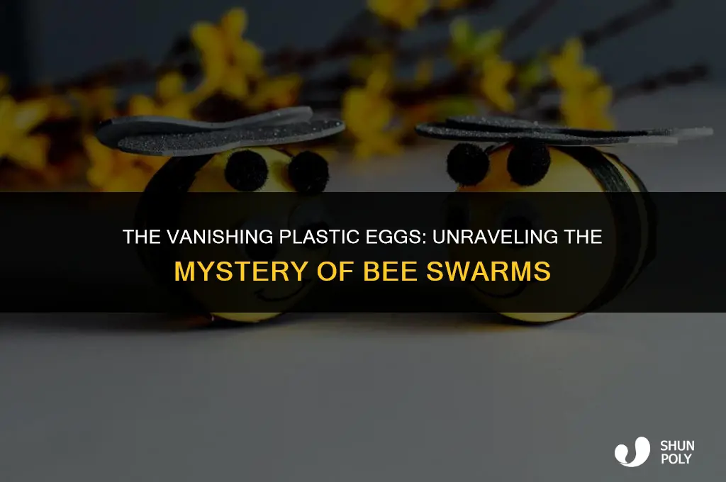 where are all the plastic eggs in bee swarm