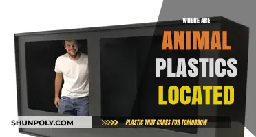 Unveiling the Hidden Dangers: Where Animal Plastics Lurk
