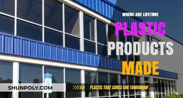 Global Origins of Lifetime Plastic Products: Manufacturing Hubs Revealed