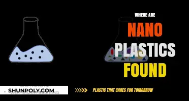 Ubiquitous Nano Plastics: Unveiling Their Presence in Everyday Life