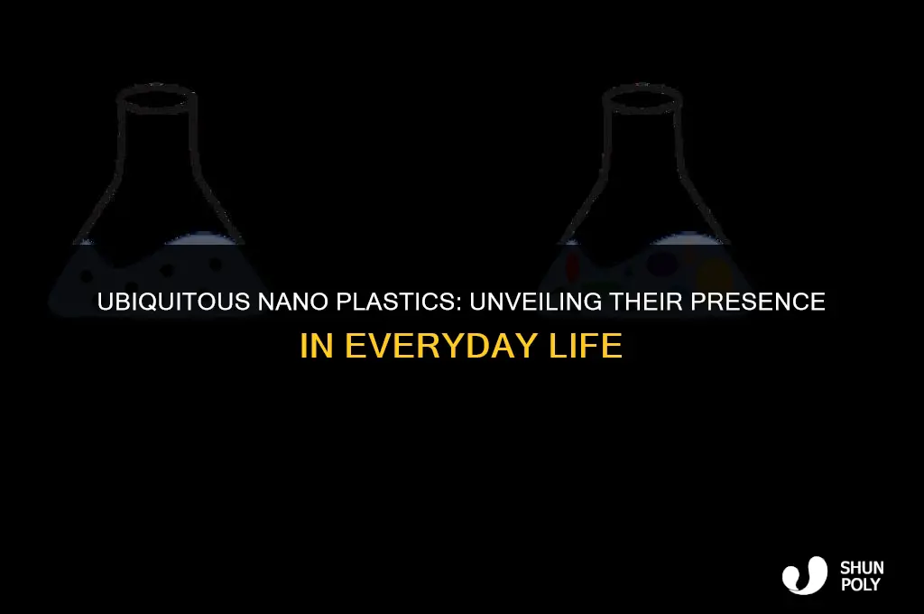 where are nano plastics found