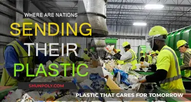 The Plastic Trail: Nations' Waste Destinations