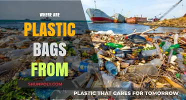 Tracing the Origins: Where Do Plastic Bags Really Come From?