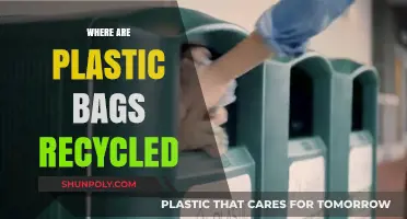 Where Do Plastic Bags Go? Uncovering Recycling Locations and Processes