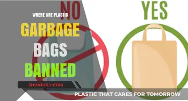 Global Shift: Countries Banning Plastic Garbage Bags for a Greener Future