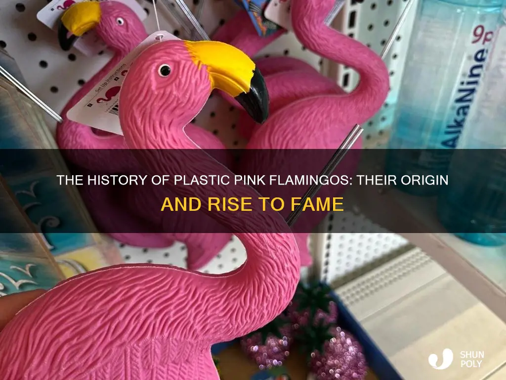 where are plastic pink flamingos from