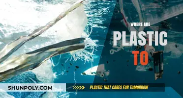 Unveiling the Journey: Where Plastics Go After They Leave Our Hands