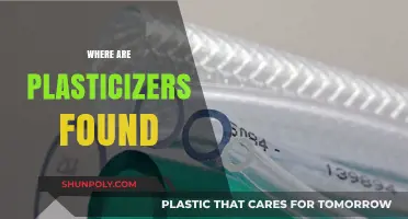 Ubiquitous Plasticizers: Unveiling Their Hidden Presence in Everyday Items