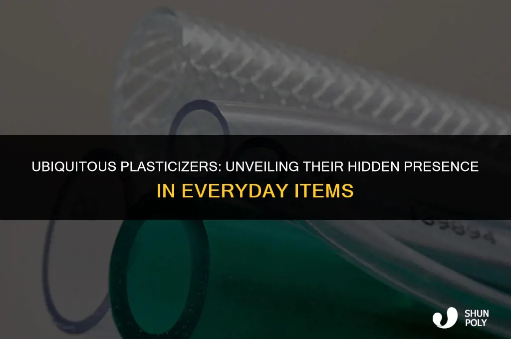 where are plasticizers found