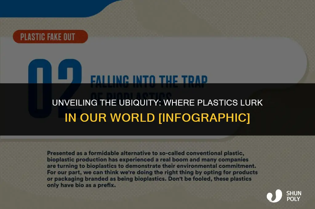 where are plastics infographics