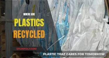 Plastic Recycling: Where Does It All Go?