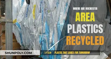 Recycling Plastics in Rochester: Where Do They Go?