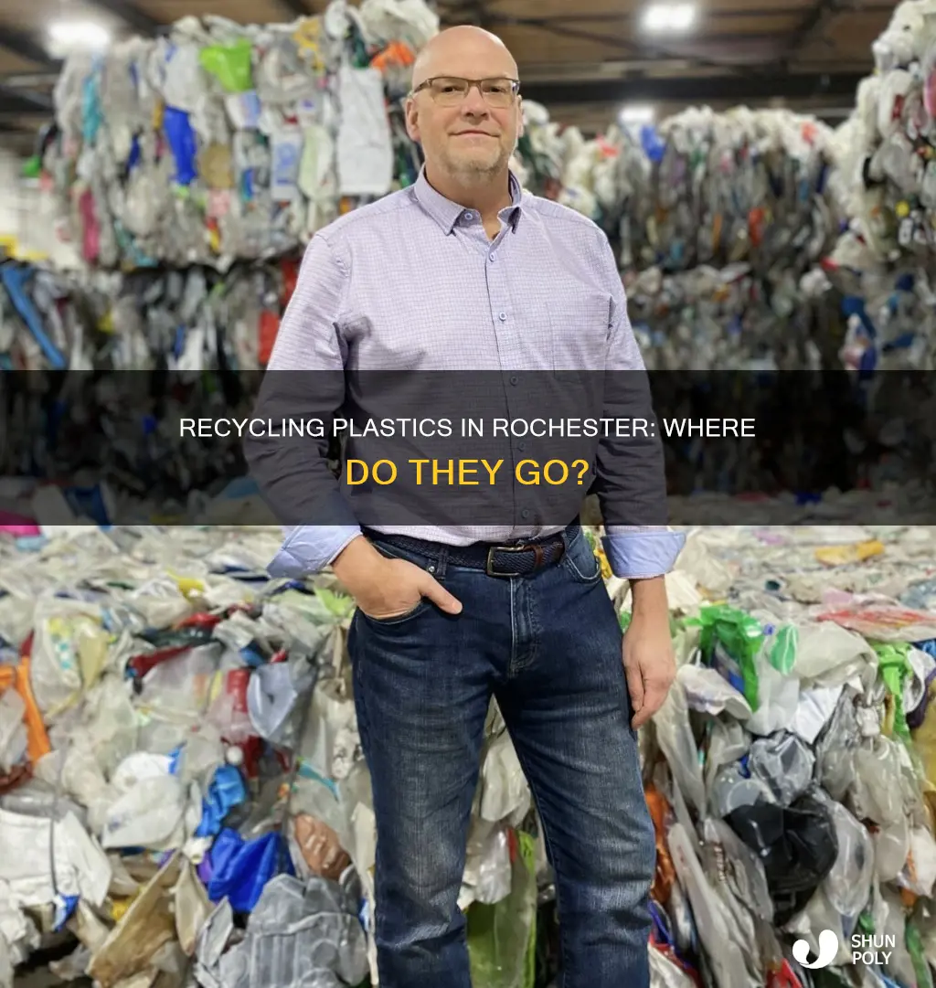 where are rochester area plastics recycled
