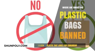 Global Shift: Countries Banning Single-Use Plastic Bags for a Greener Future
