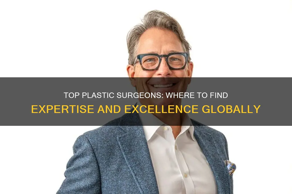 where are the best plastic surgeons