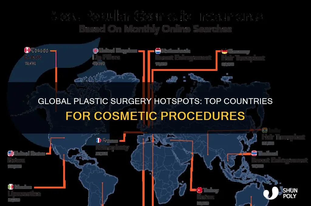 where are the most plastic surgeries done