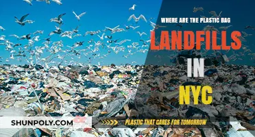 Uncovering NYC's Hidden Plastic Bag Landfills: Locations and Impact