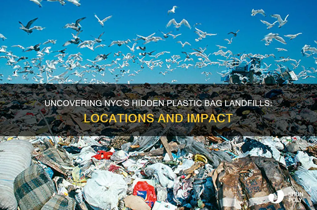where are the plastic bag landfills in nyc
