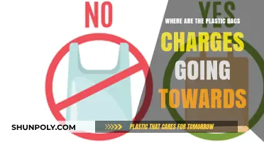 Where Do Plastic Bag Fees Go? Tracking Funds for Sustainability