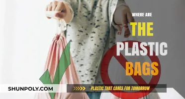 Where Are the Plastic Bags? Tracking Their Disappearance and Impact