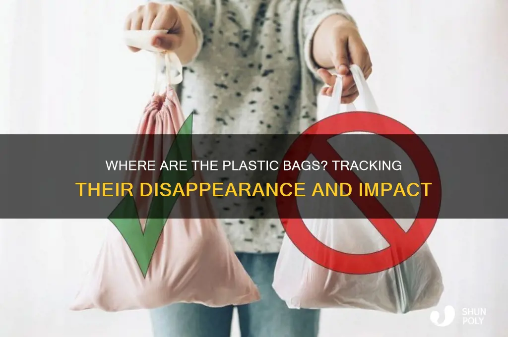 where are the plastic bags